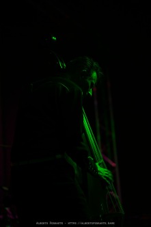 20260814 - Lagoon Punk Rock 2026, Night 1, The Peacocks - Boschetto Ciani, parco Ciani, Lugano (Switzerland)